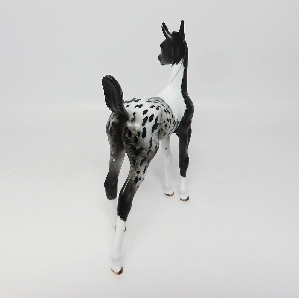 MODESTO-OOAK PAINTALOOSA FOAL MODEL HORSE 8/2/17