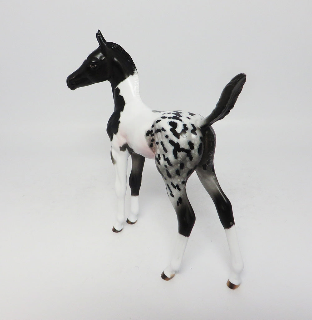 MODESTO-OOAK PAINTALOOSA FOAL MODEL HORSE 8/2/17