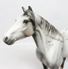 spanish mustang