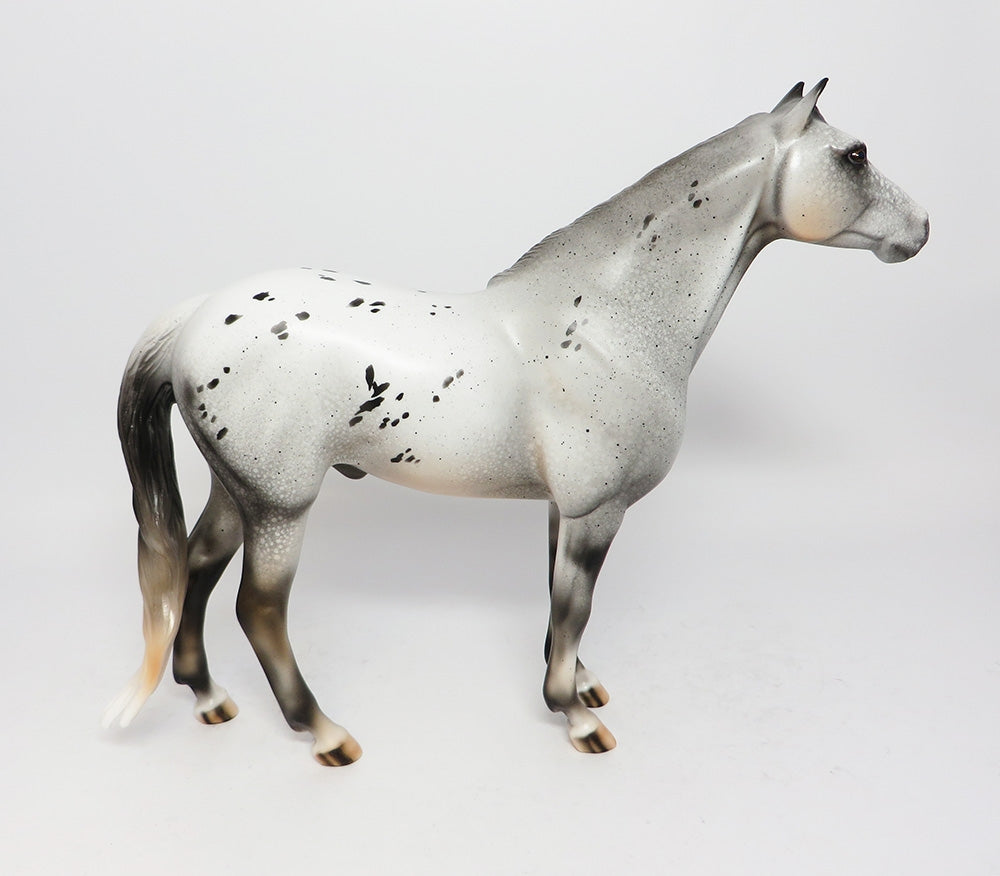 ROLLIN THUNDER-OOAK LEOPARD SPANISH MUSTANG MODEL HORSE 8/2/17