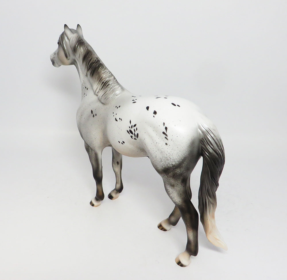 ROLLIN THUNDER-OOAK LEOPARD SPANISH MUSTANG MODEL HORSE 8/2/17