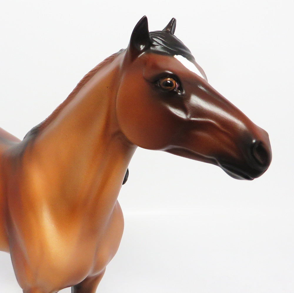 MATAEO-LE-4 DUN SPANISH MUSTANG MODEL HORSE 8/2/17