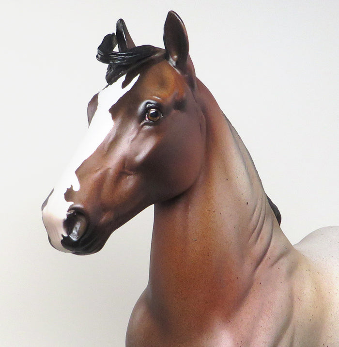 BARBARIAN - OOAK BAY ROAN TROTTING DRAFTER MODEL HORSE - 3/17
