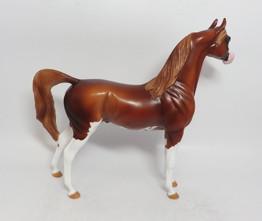 ARABIA-OOAK CHESTNUT SABINO ARABIAN BY AUDREY DIXON 3/9/18