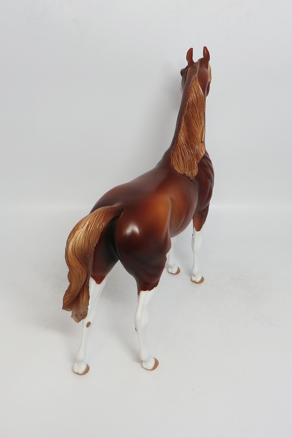 ARABIA-OOAK CHESTNUT SABINO ARABIAN BY AUDREY DIXON 3/9/18