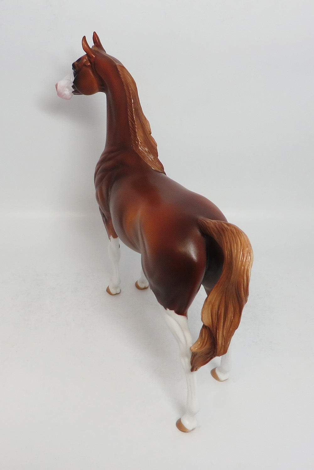 ARABIA-OOAK CHESTNUT SABINO ARABIAN BY AUDREY DIXON 3/9/18