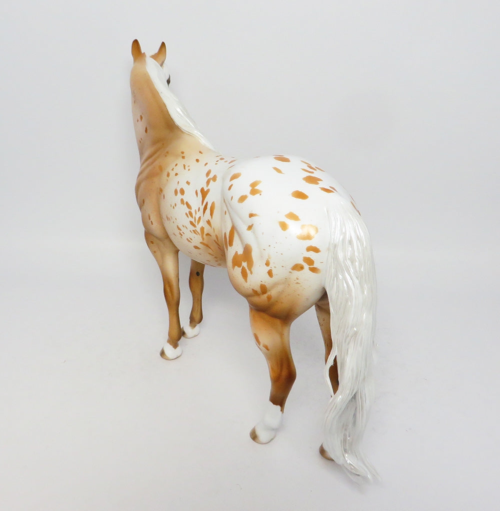 appaloosa