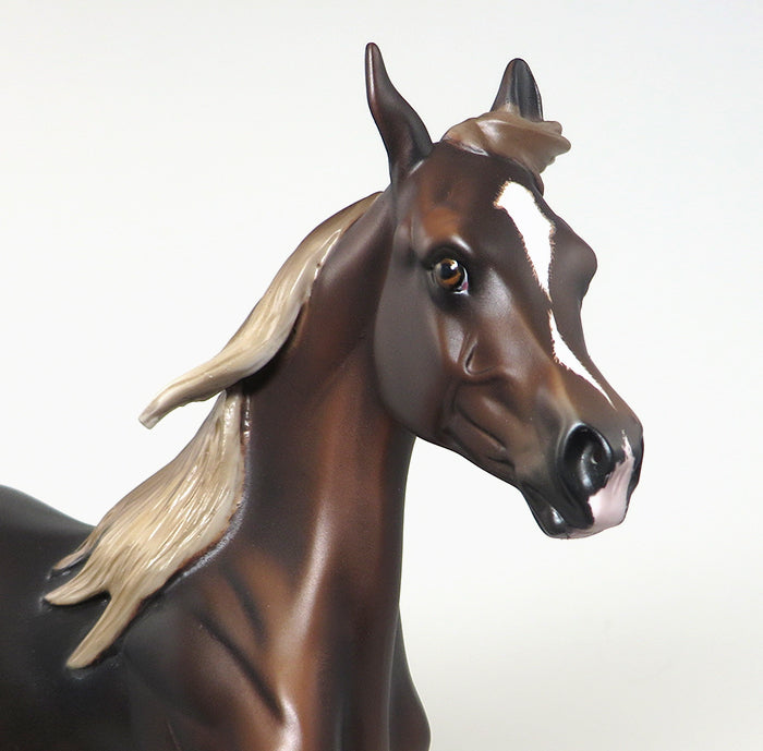 sassy lassy yearling