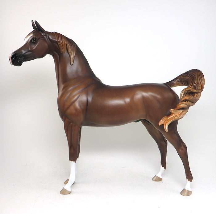 chestnut the alias arabian