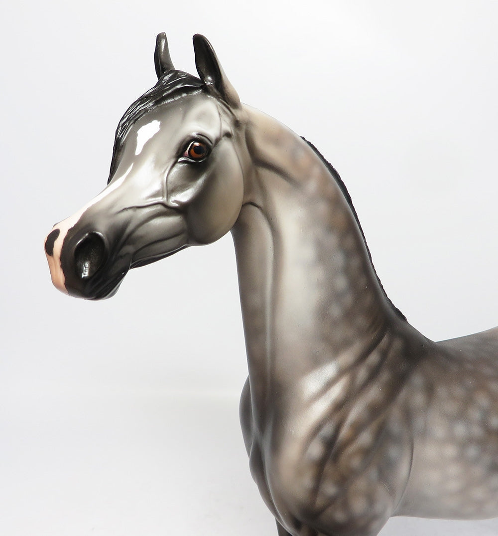 WINTER HAWK~OOAK DAPPLE GREY ARABIAN MODEL HORSE 12-12-17