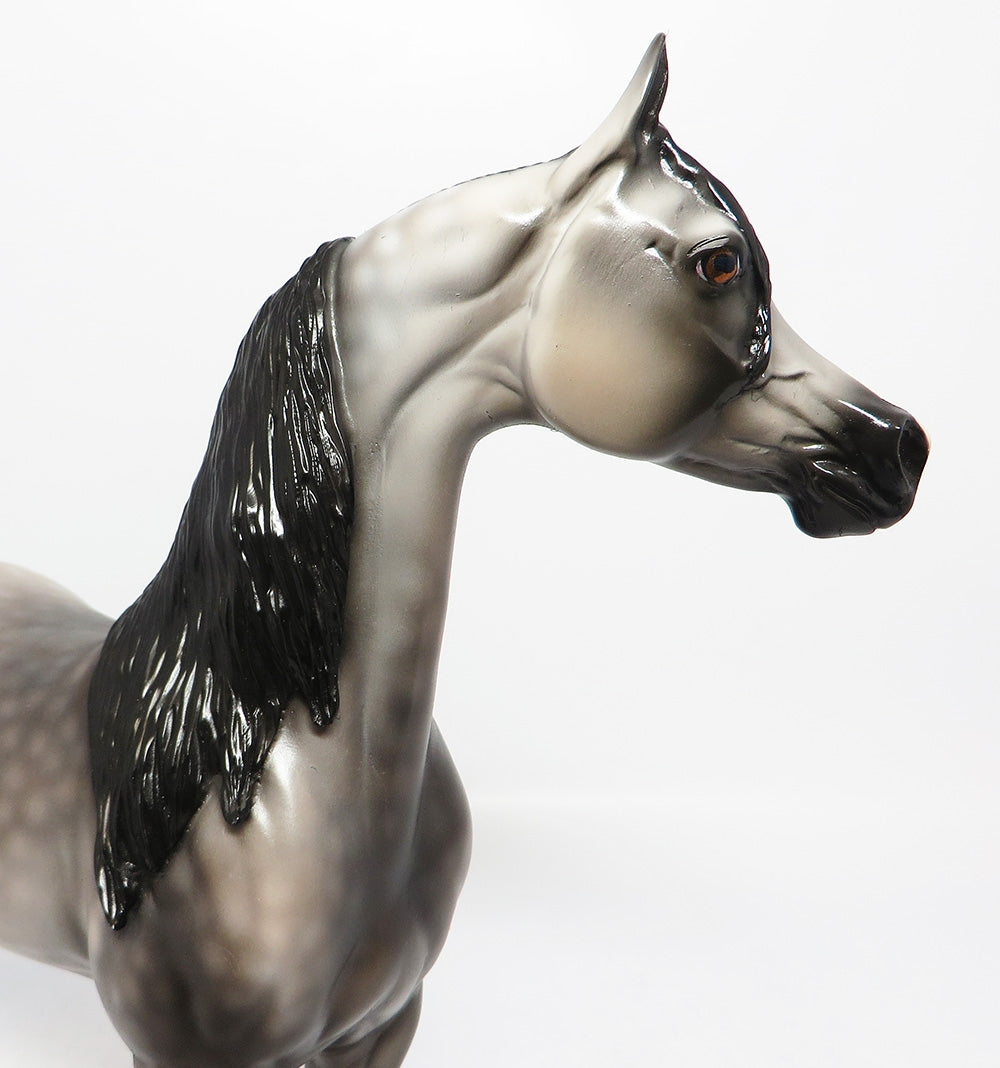 WINTER HAWK~OOAK DAPPLE GREY ARABIAN MODEL HORSE 12-12-17