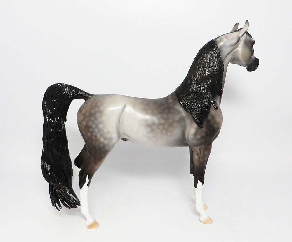 WINTER HAWK~OOAK DAPPLE GREY ARABIAN MODEL HORSE 12-12-17