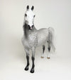 dapple grey peter morgan 