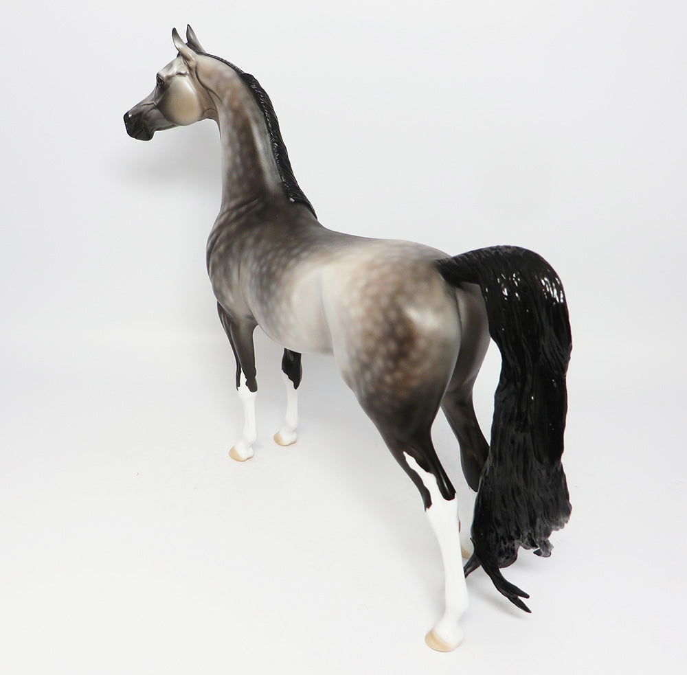WINTER HAWK~OOAK DAPPLE GREY ARABIAN MODEL HORSE 12-12-17
