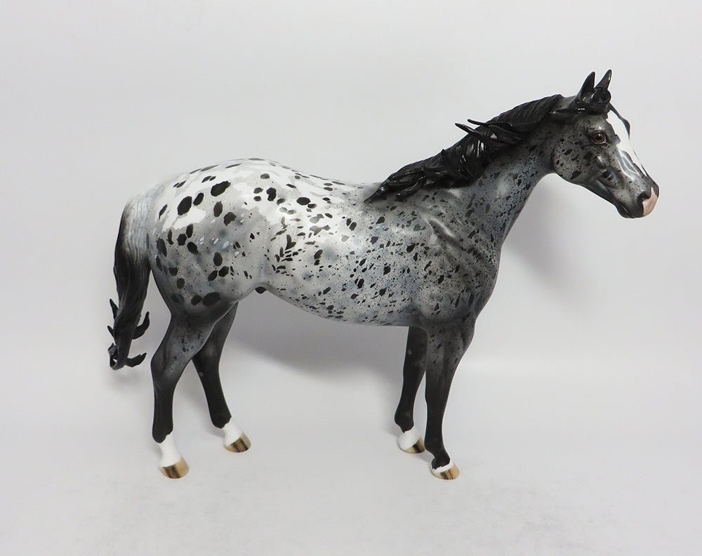 CLOUD DANCER - OOAK BLACK APPALOOSA ISH MODEL HORSE MW2018