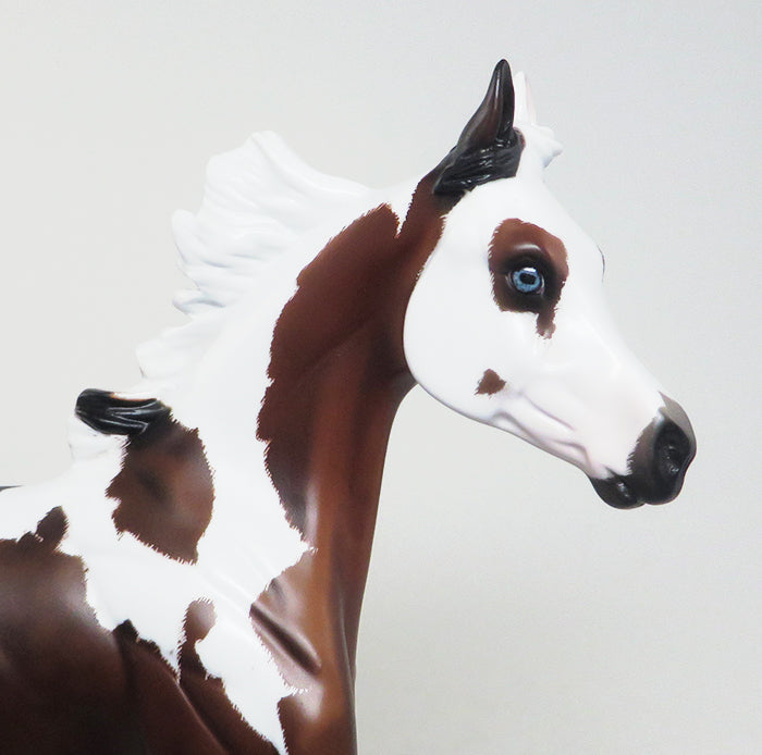 BLUE EYES "SHOW GIRL" - ETCHED PINTO YEARLING MODEL HORSE BY SHERYL LEISURE - 3/17