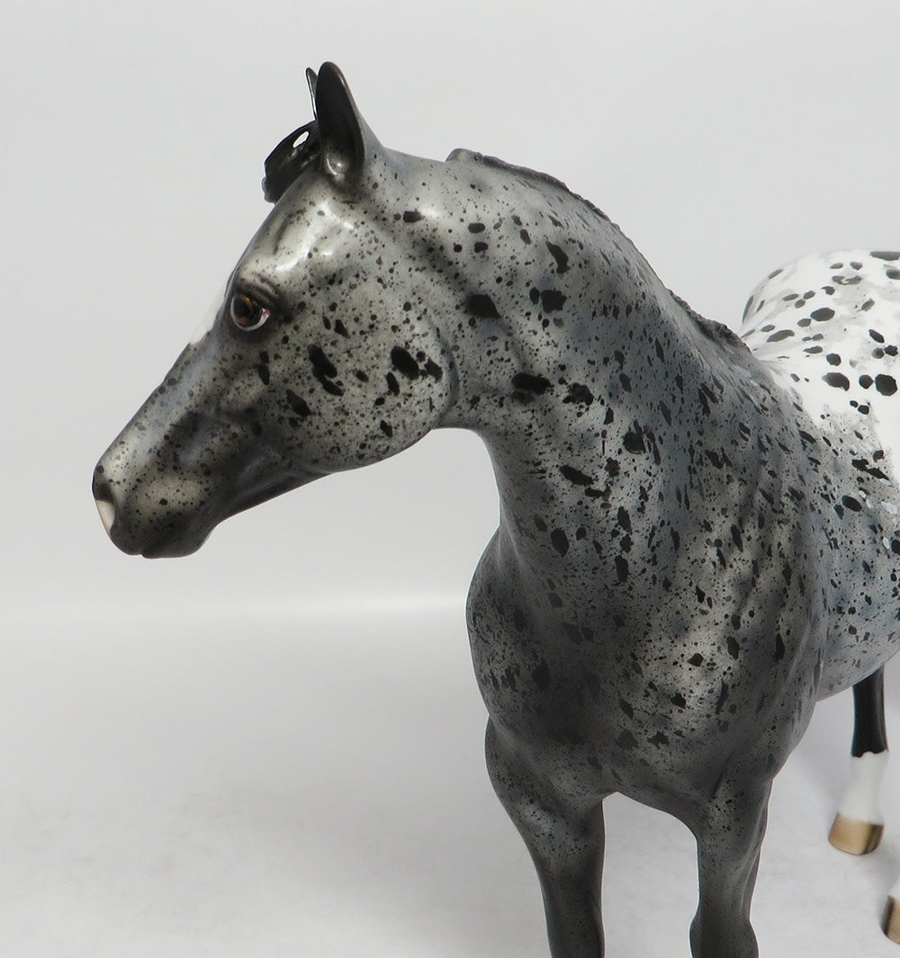 CLOUD DANCER - OOAK BLACK APPALOOSA ISH MODEL HORSE MW2018