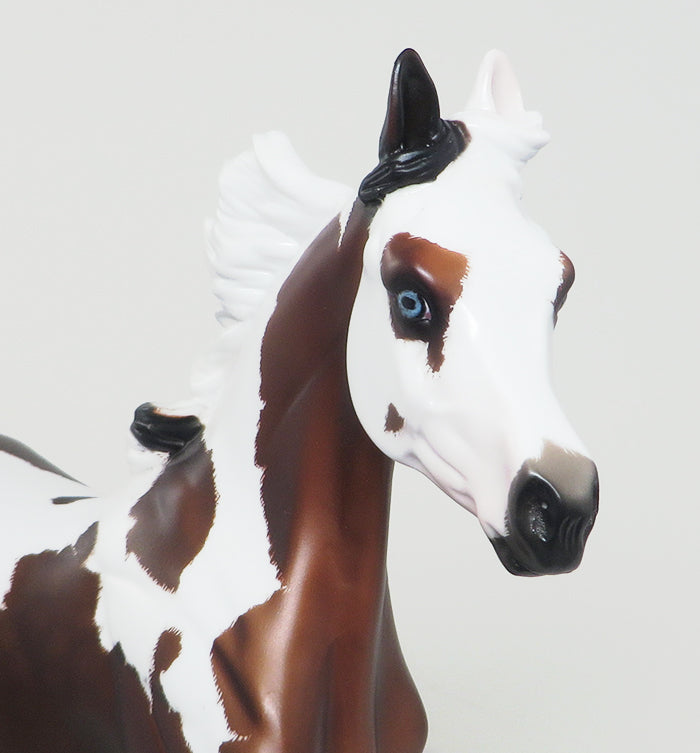 BLUE EYES "SHOW GIRL" - ETCHED PINTO YEARLING MODEL HORSE BY SHERYL LEISURE - 3/17