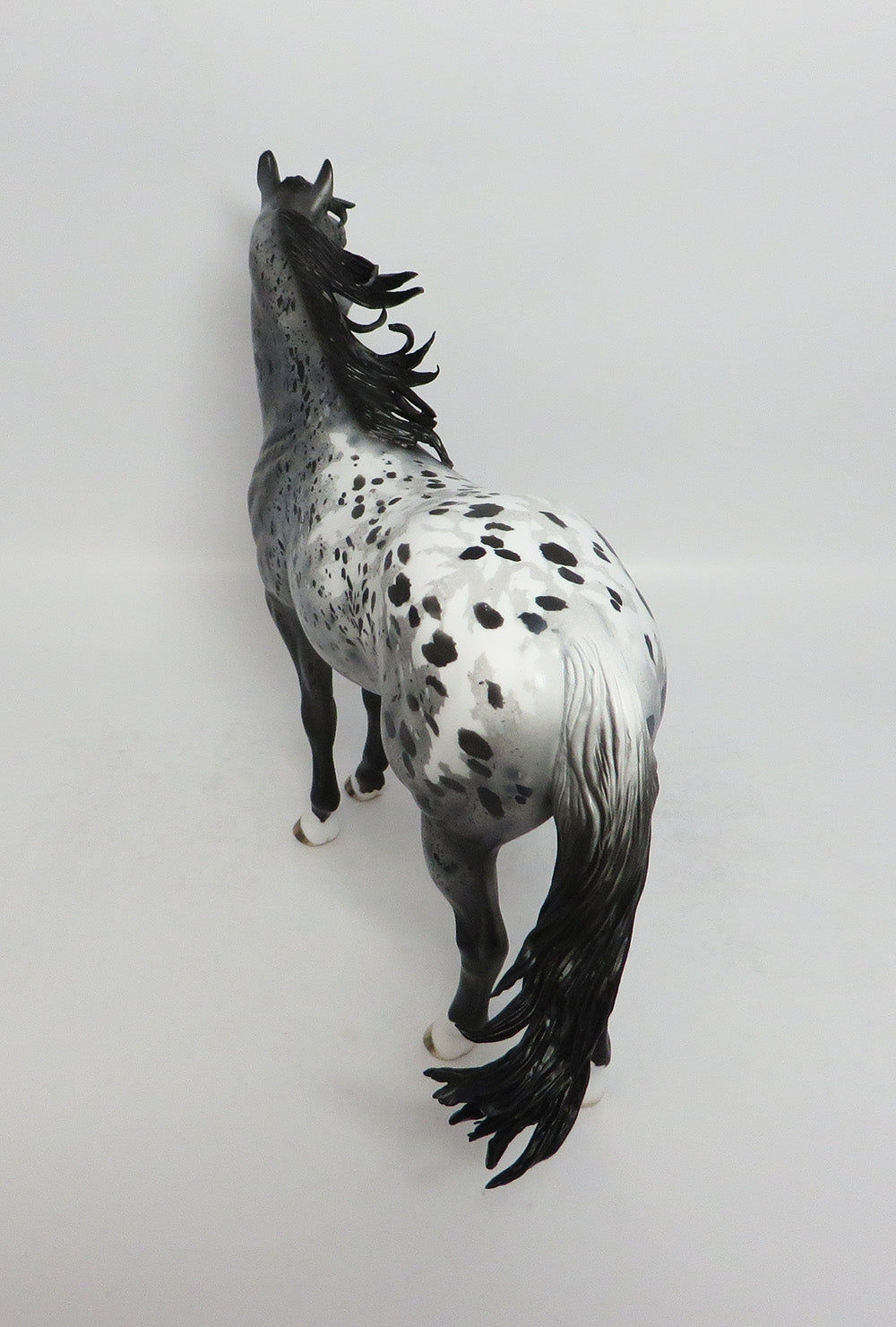 CLOUD DANCER - OOAK BLACK APPALOOSA ISH MODEL HORSE MW2018