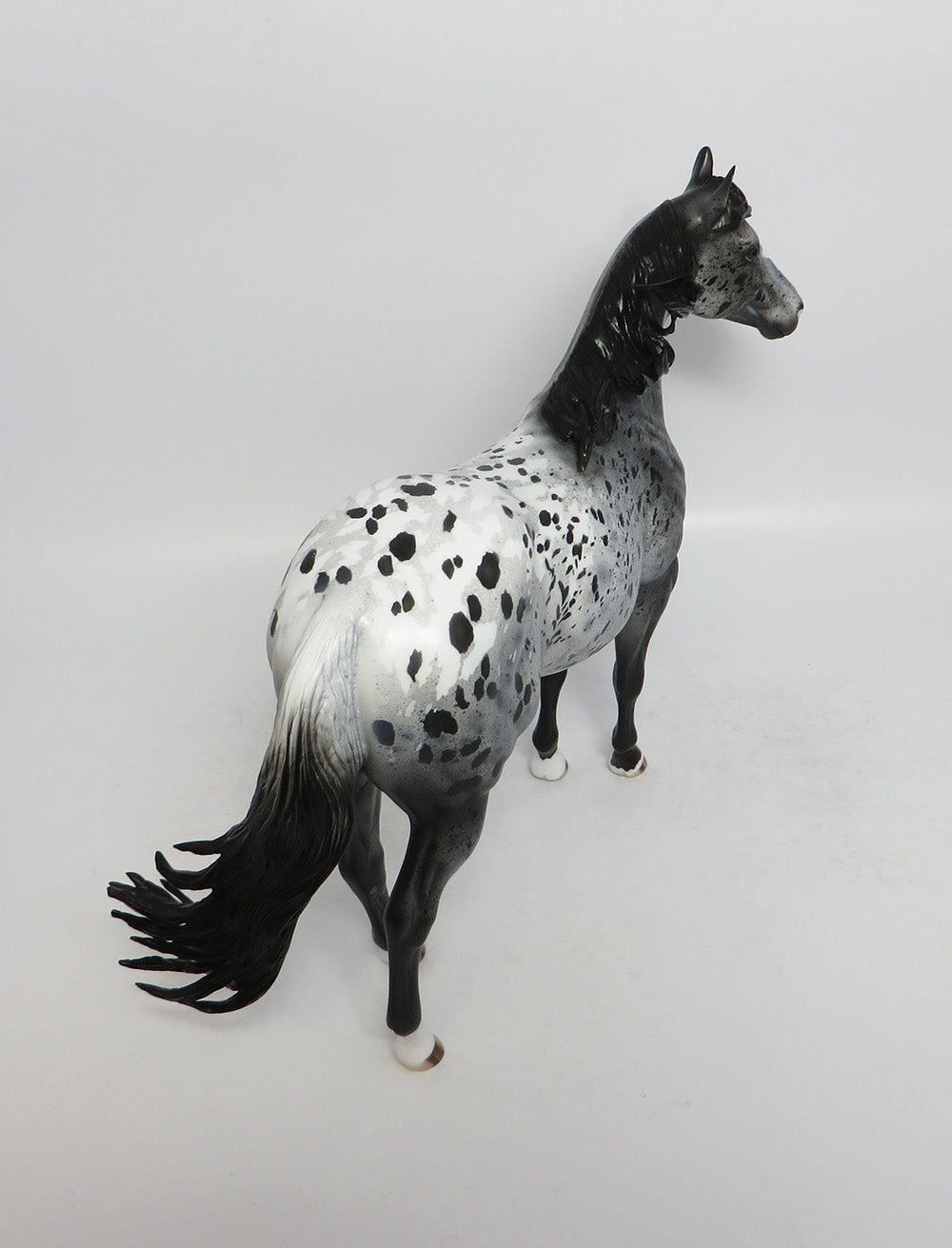CLOUD DANCER - OOAK BLACK APPALOOSA ISH MODEL HORSE MW2018