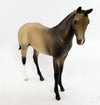 BUCKSKIN