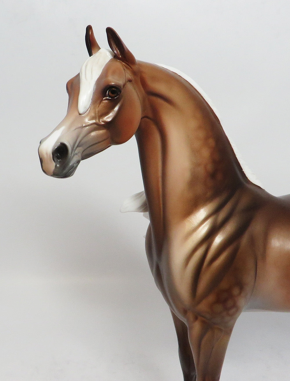 GRANDVILLE - LE8 DAPPLE SOOTY PALOMINO ARABIAN  MODEL HORSE EA2018