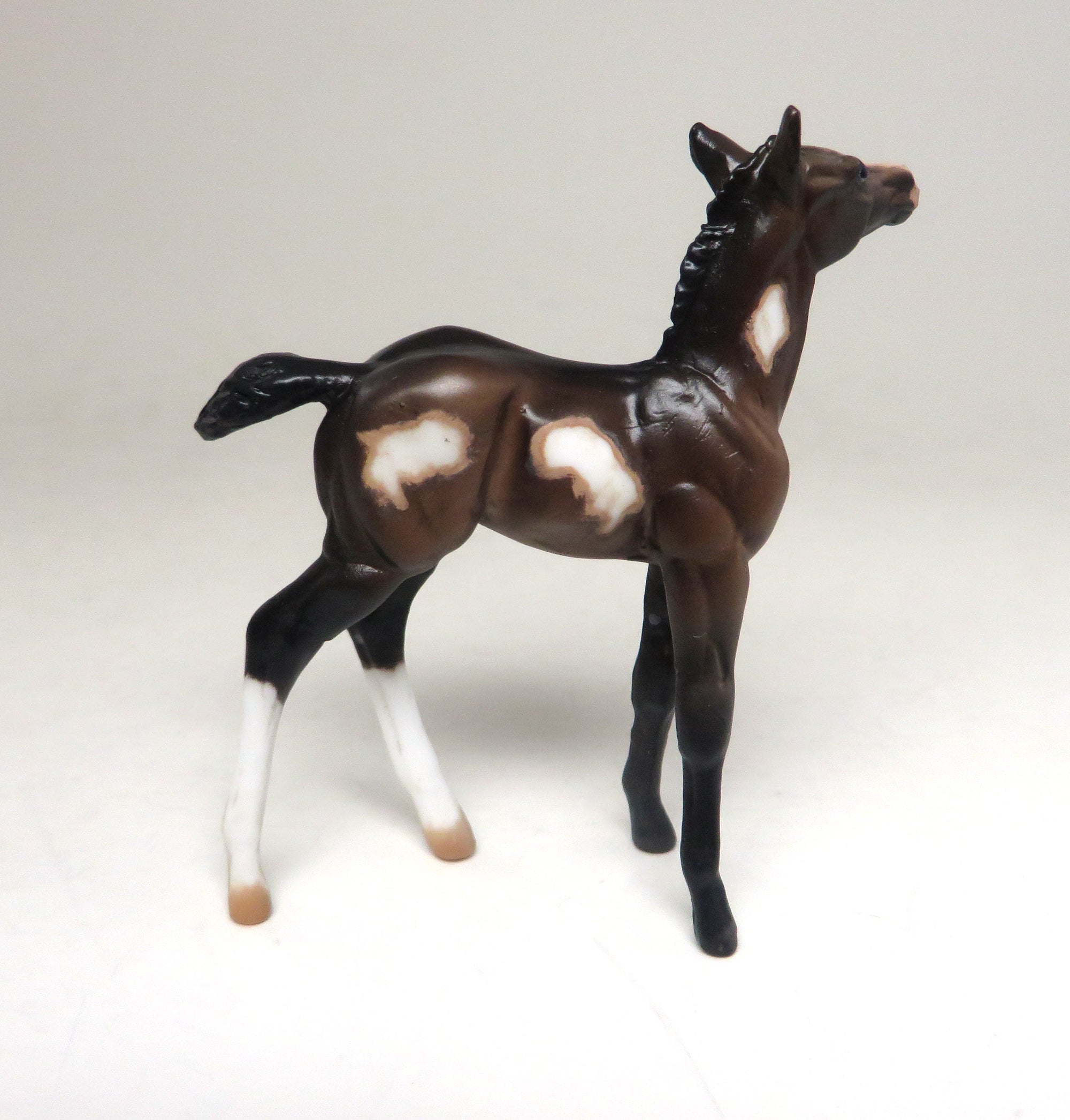 PIP - OOAK BAY PAINT CHIPS FOAL MODEL HORSE BY SHERYL LEISURE