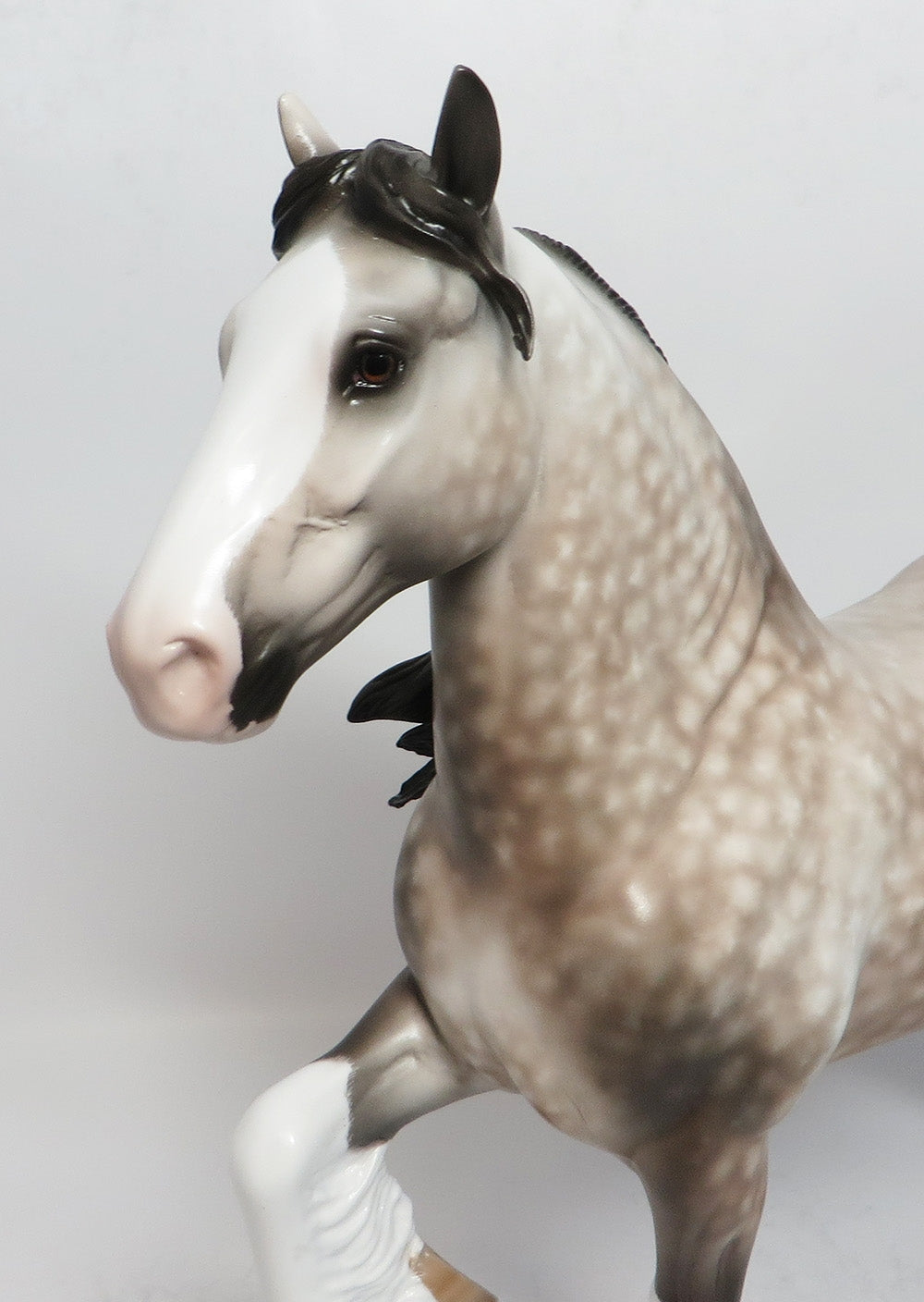 COOL STRUTTIN-OOAK STAR DAPPLE ROSE GREY TROTTING DRAFTER MODEL HORSE BY SHERYL LEISURE 3/12/18