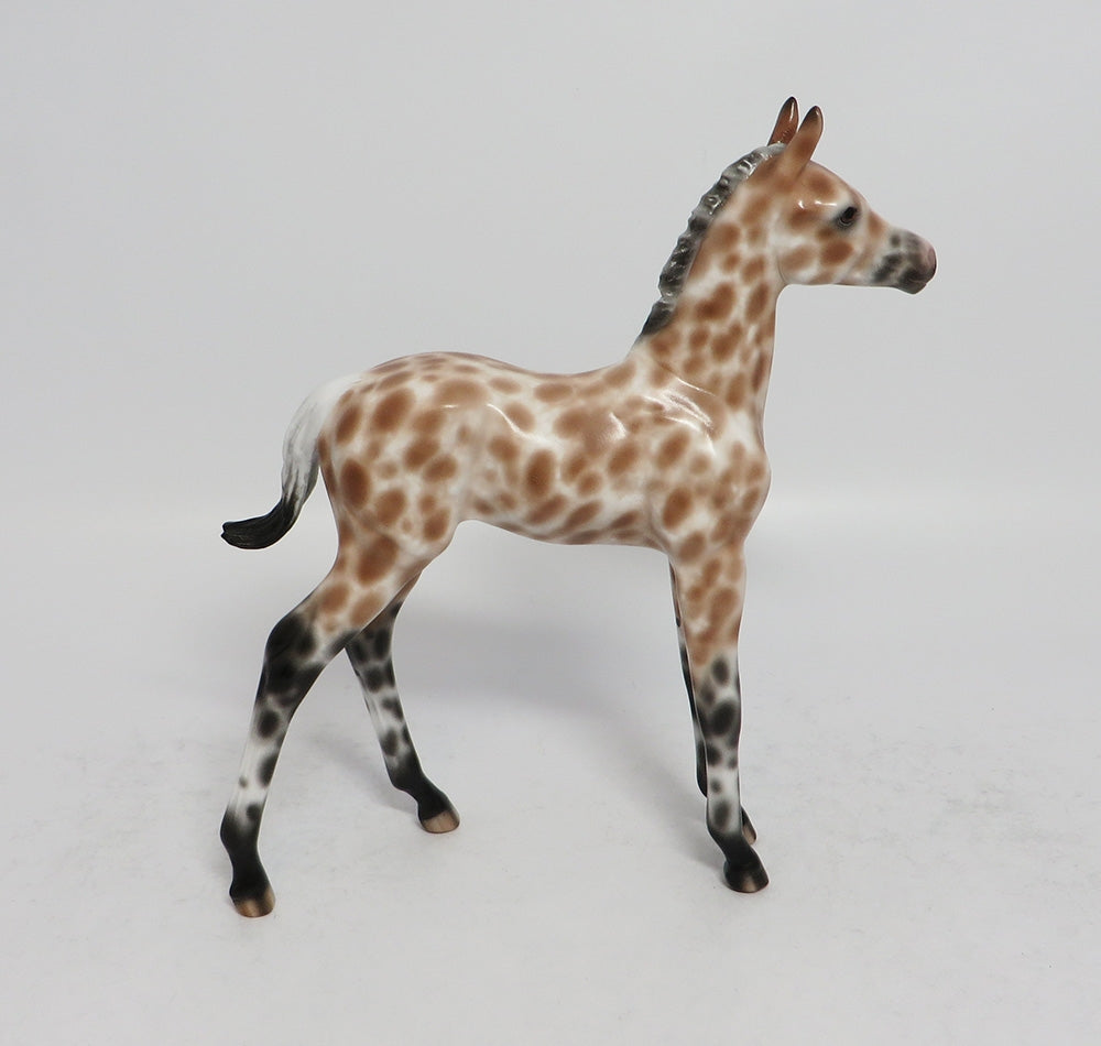 LULLABY OF BIRDLAND-OOAK APPALOOSA BUCKSKIN FOAL BY SHERYL LEISURE 3/12/18