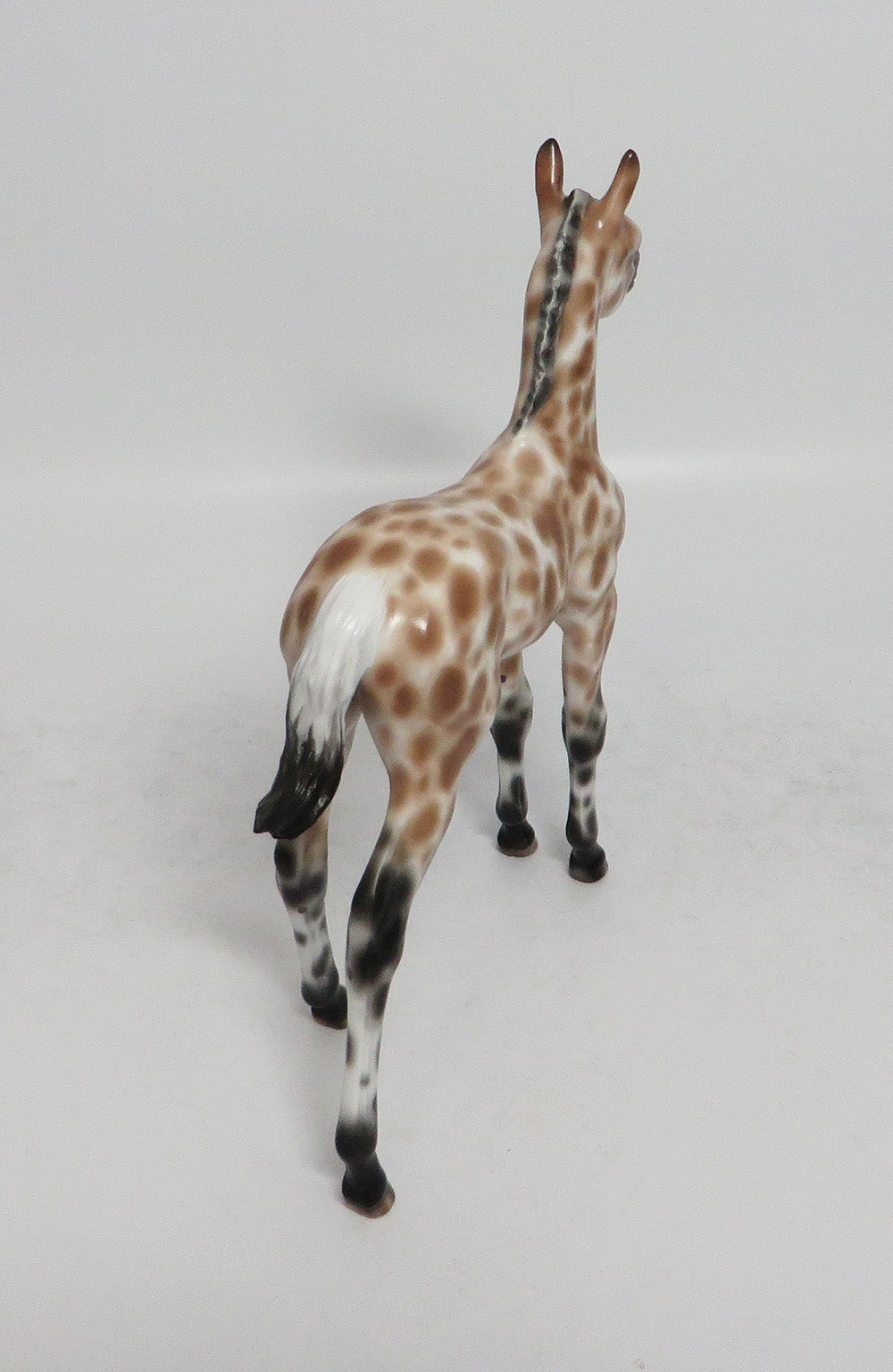 LULLABY OF BIRDLAND-OOAK APPALOOSA BUCKSKIN FOAL BY SHERYL LEISURE 3/12/18