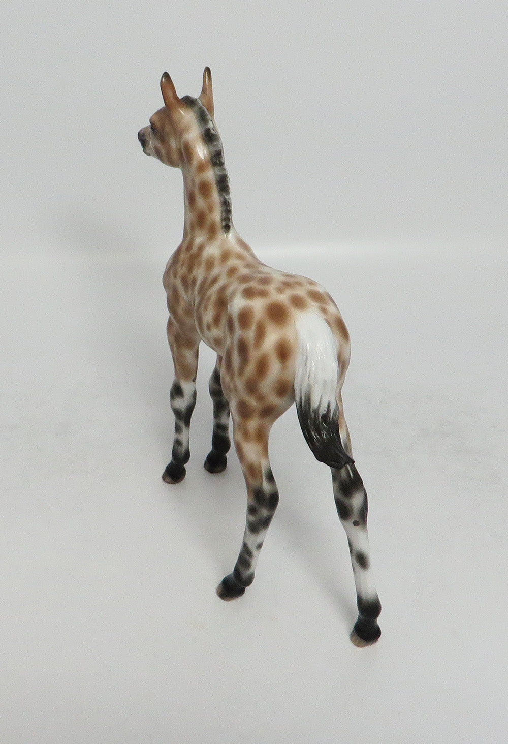 LULLABY OF BIRDLAND-OOAK APPALOOSA BUCKSKIN FOAL BY SHERYL LEISURE 3/12/18