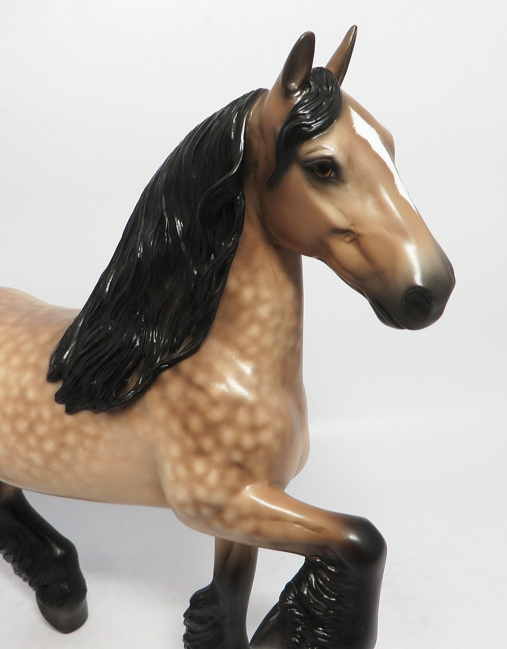 TAKE FIVE STAR DAPPLE SOOTY BUCKSKIN TROTTING DRAFTER BY SHERYL LEISURE 3/12/18