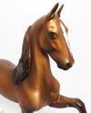 Custom Mane