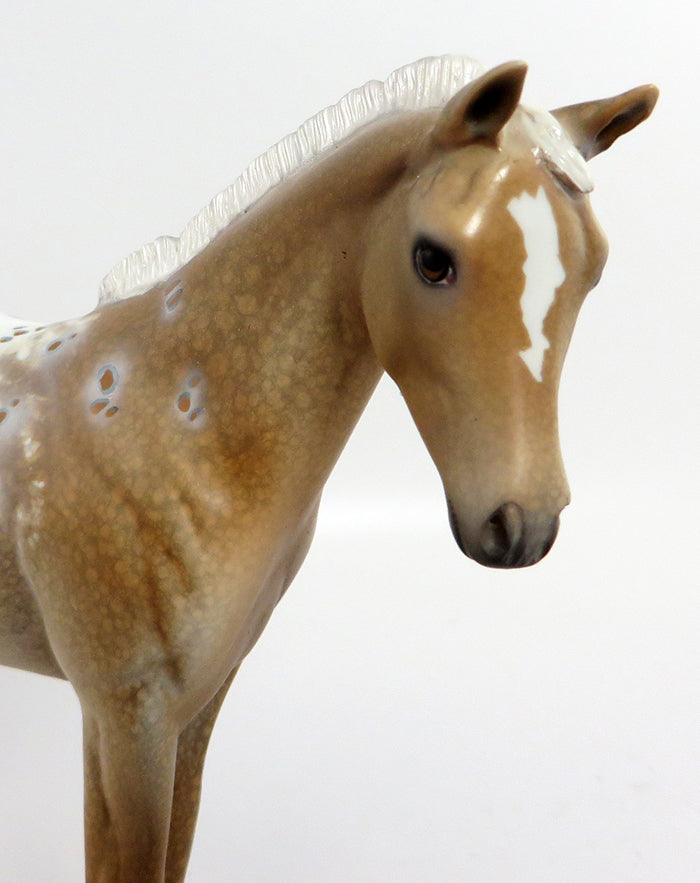 Palomino