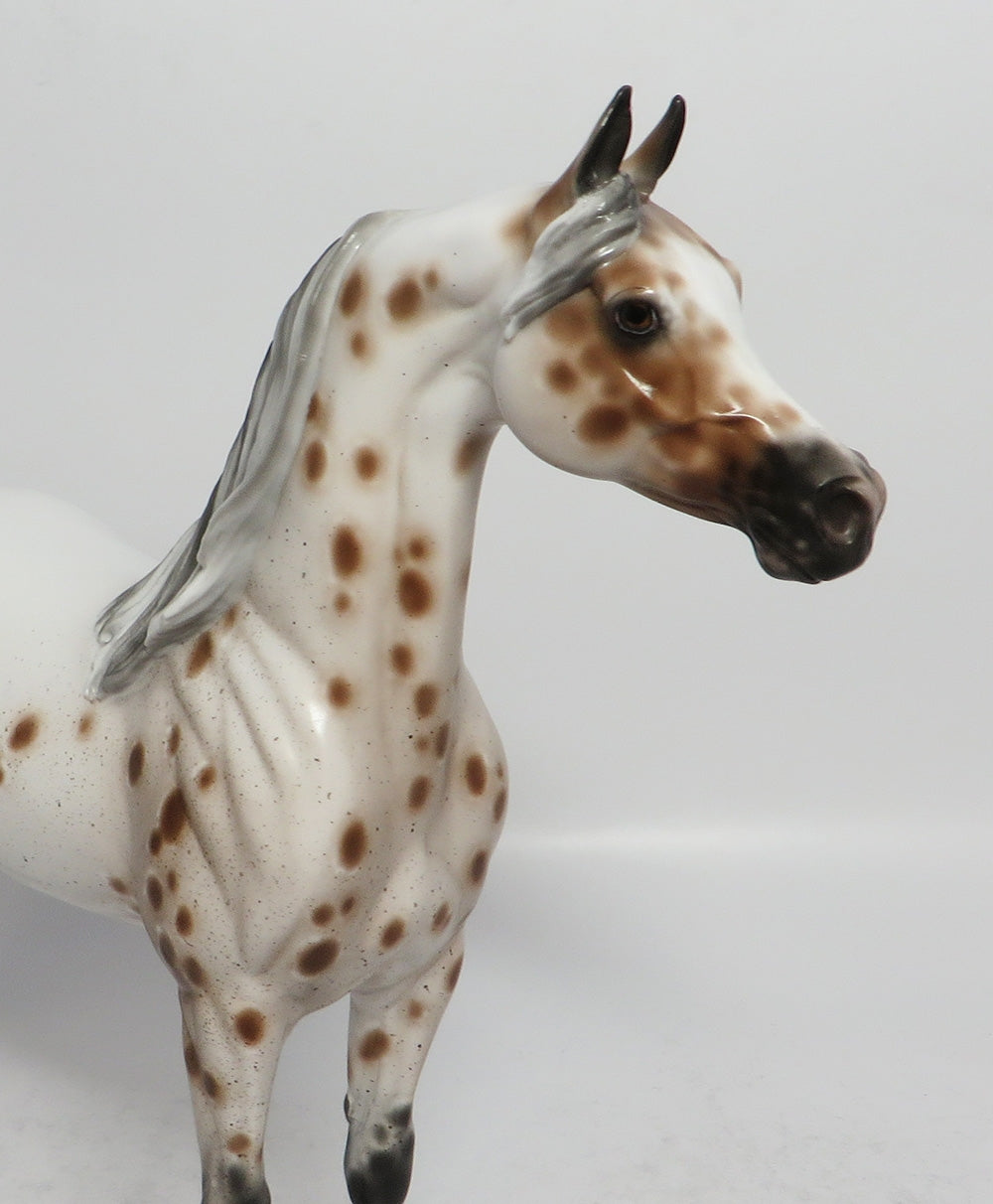 ROUND MIDNIGHT-OOAK APPALOOSA ARABIAN MODEL HORSE SHERYL LEISURE 3/12/18