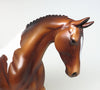 one of kind pony