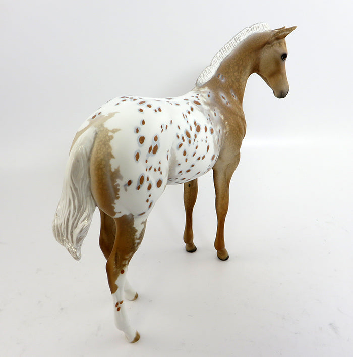 Appaloosa