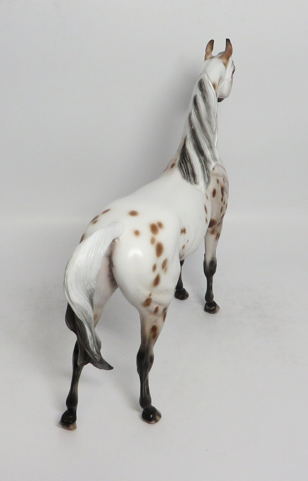 ROUND MIDNIGHT-OOAK APPALOOSA ARABIAN MODEL HORSE SHERYL LEISURE 3/12/18