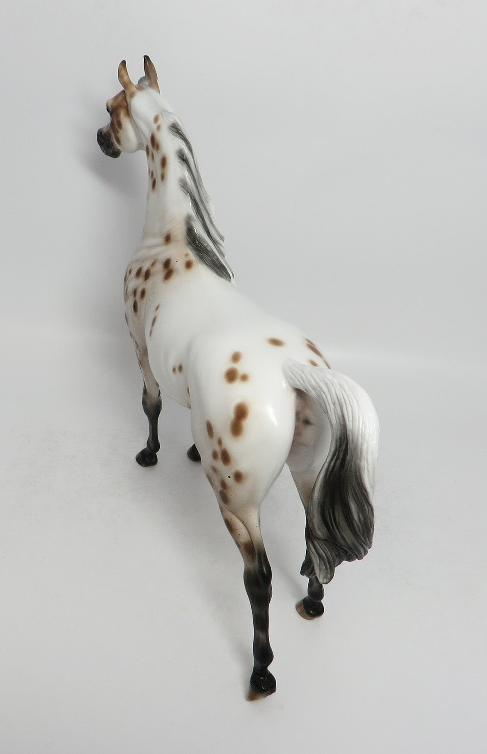 ROUND MIDNIGHT-OOAK APPALOOSA ARABIAN MODEL HORSE SHERYL LEISURE 3/12/18