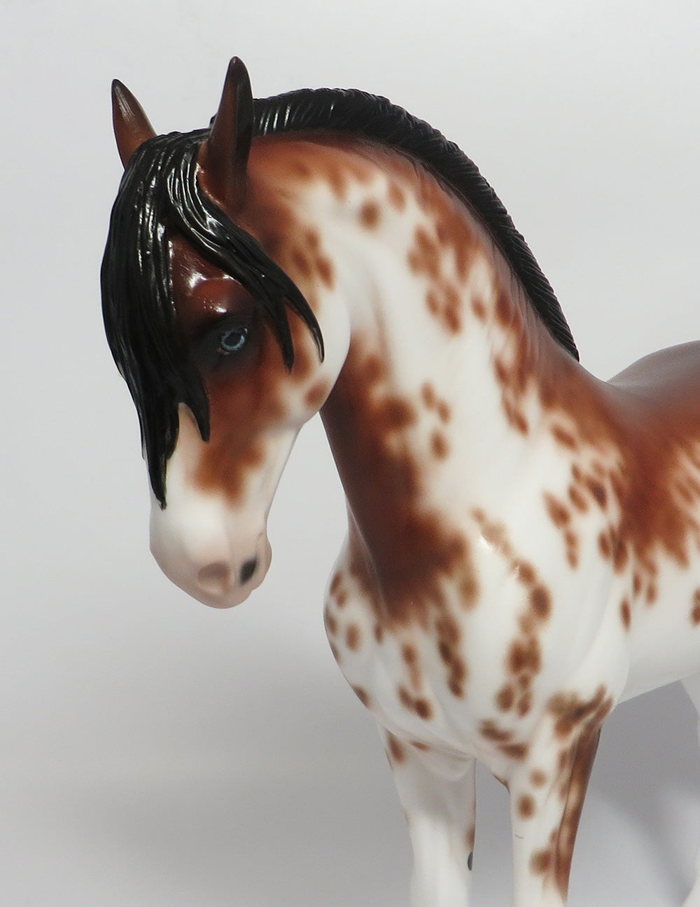 DJANGO-OOAK BAY SABINO ANDALUSIAN BY SHERYL LEISURE 3/12/18