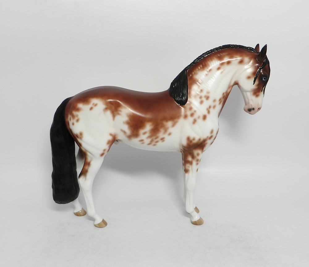 DJANGO-OOAK BAY SABINO ANDALUSIAN BY SHERYL LEISURE 3/12/18