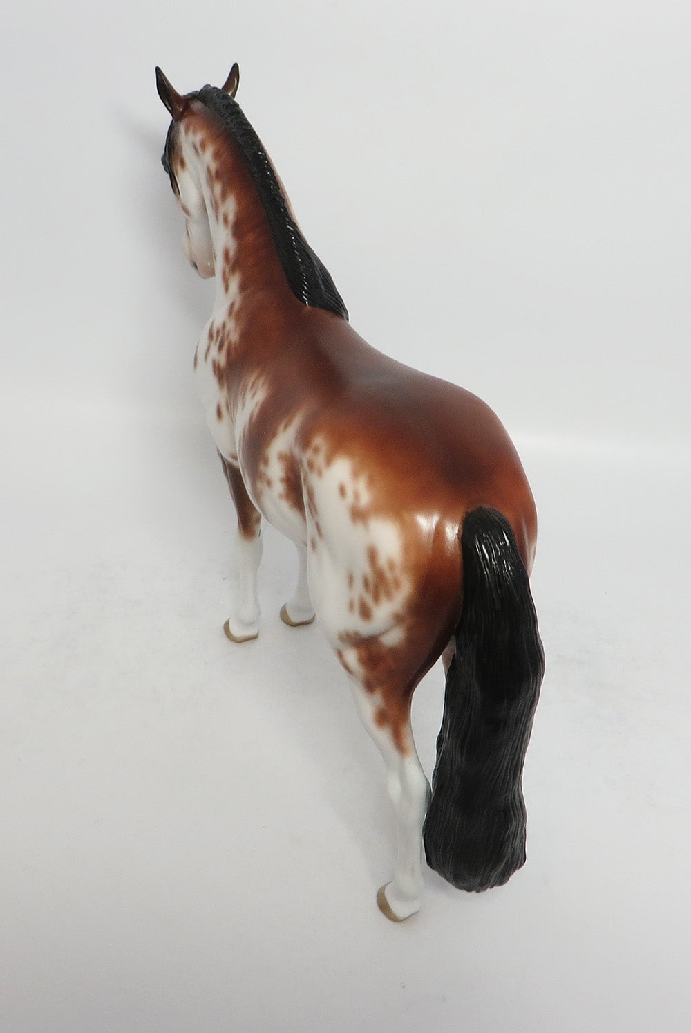 DJANGO-OOAK BAY SABINO ANDALUSIAN BY SHERYL LEISURE 3/12/18