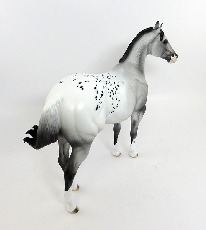 Appaloosa