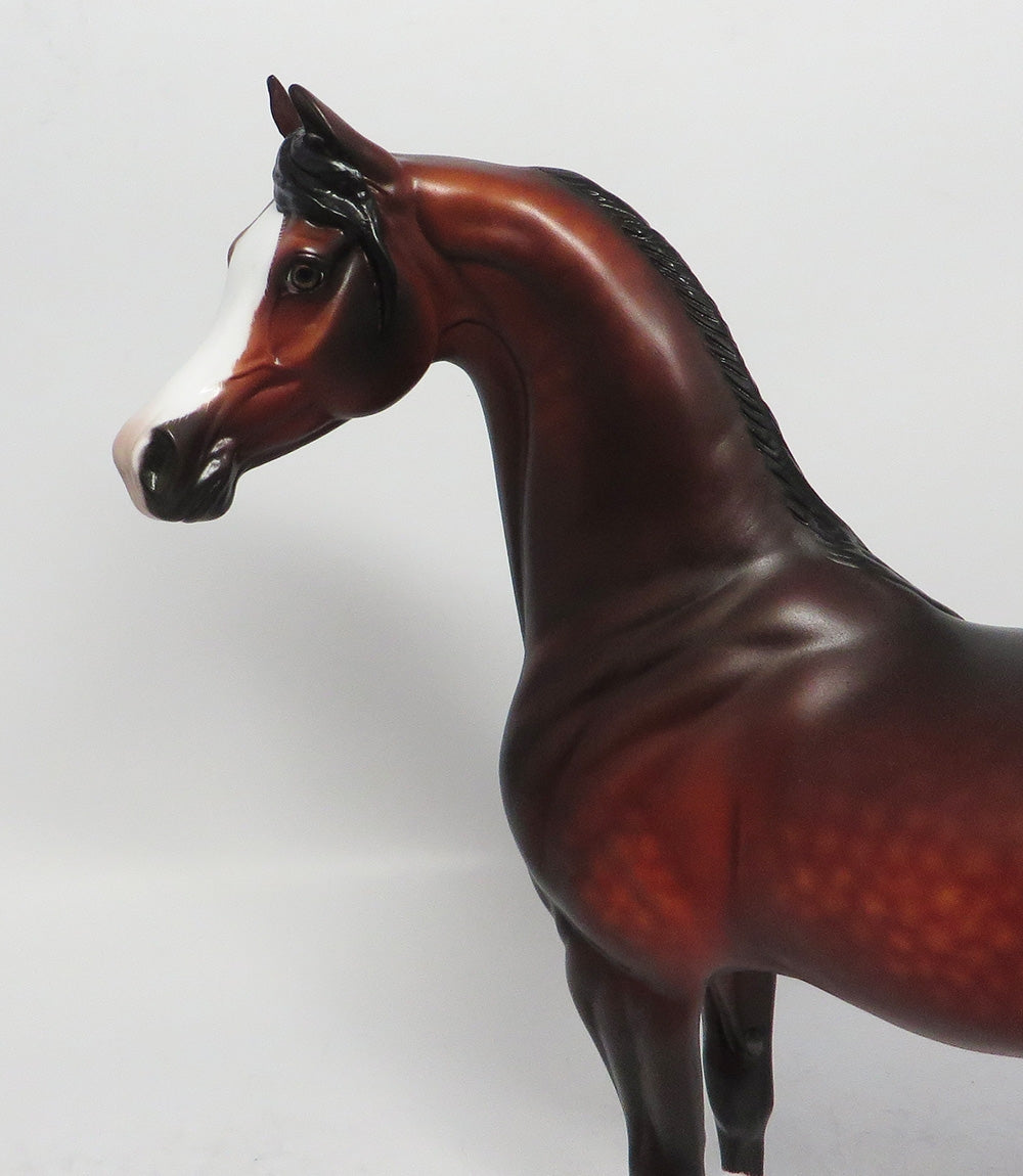 AFRODISHA-OOAK STAR DAPPLE BAY ARABIAN MODEL HORSE BY SHERYL LEISURE 3/12/18
