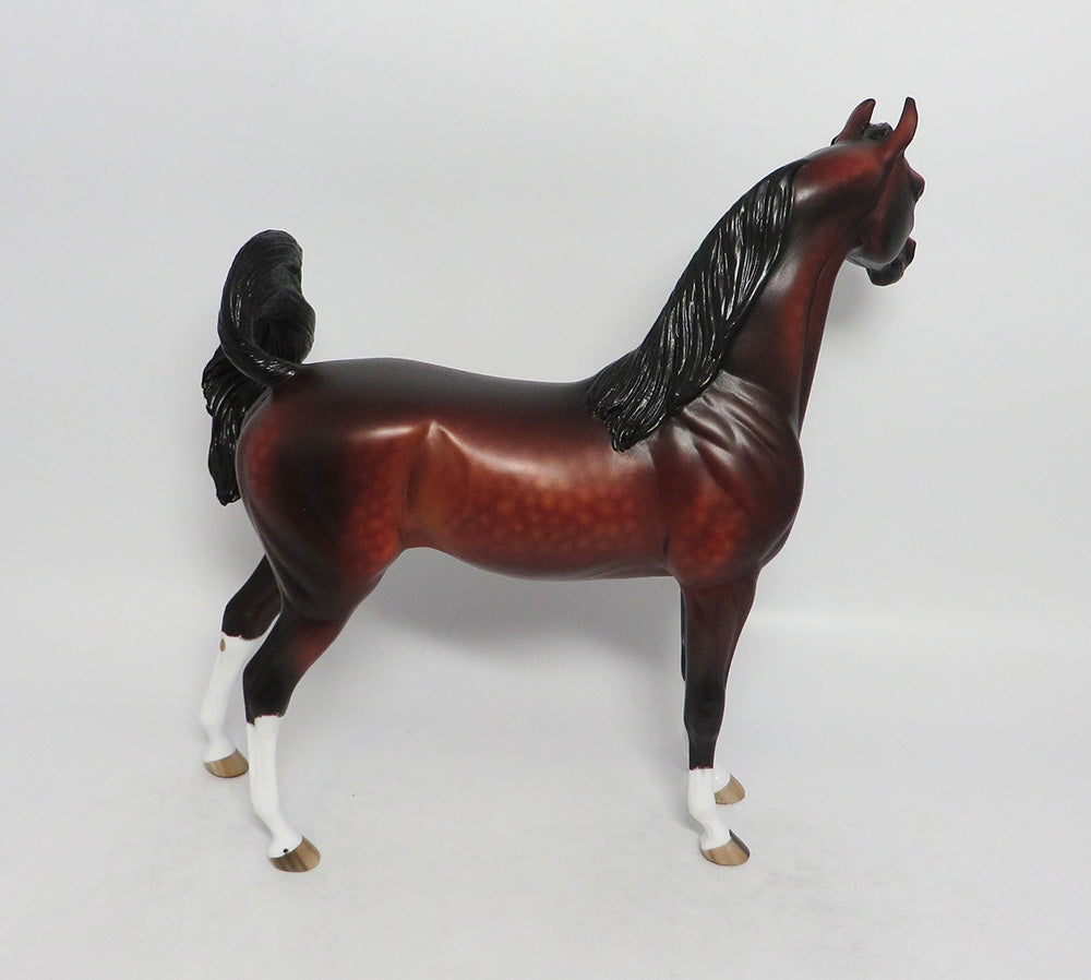 AFRODISHA-OOAK STAR DAPPLE BAY ARABIAN MODEL HORSE BY SHERYL LEISURE 3/12/18