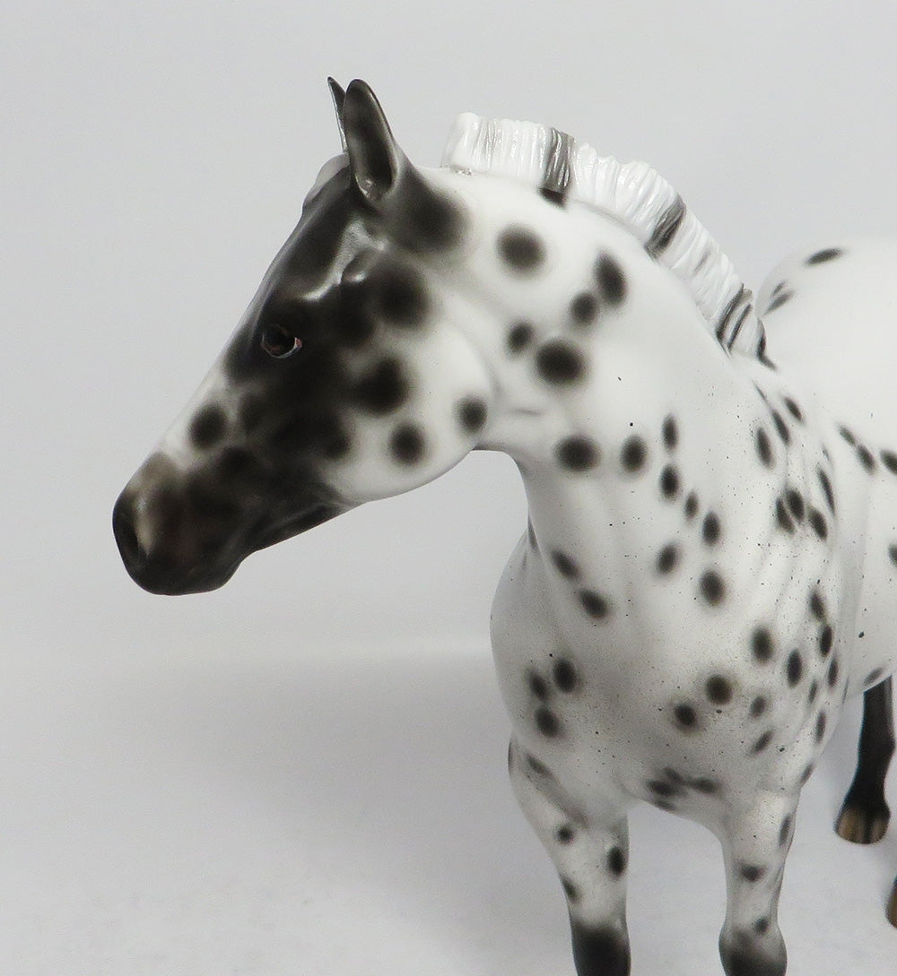 DOODLIN-OOAK APPALOOSA ISH MODEL HORSE BY SHERYL LEISURE 3/12/18