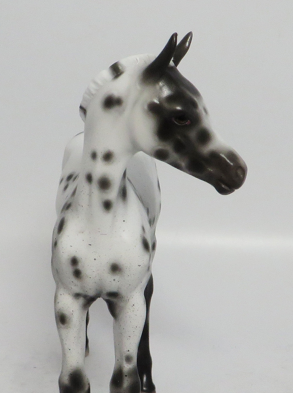BLUE MONK-OOAK BLACK APPALOOSA FOAL BY SHERYL LEISURE 3/12/18