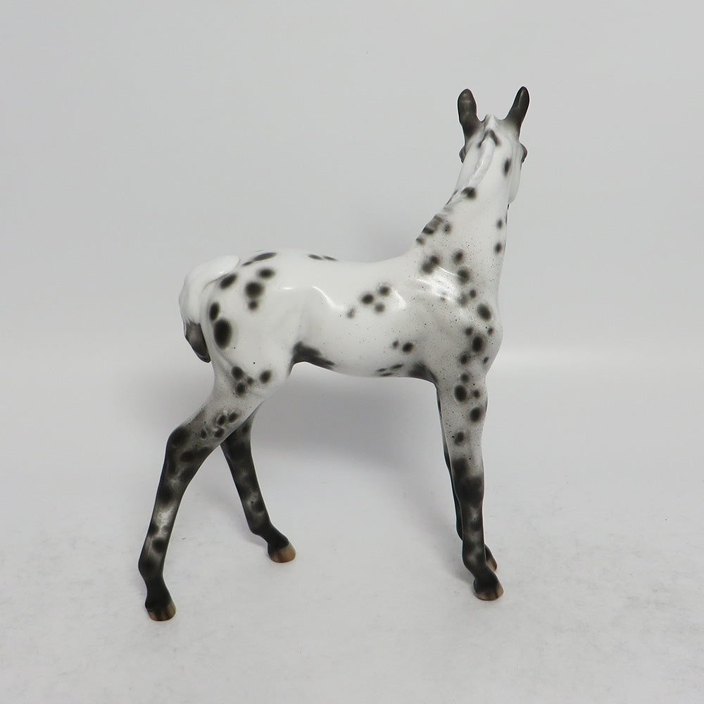 BLUE MONK-OOAK BLACK APPALOOSA FOAL BY SHERYL LEISURE 3/12/18