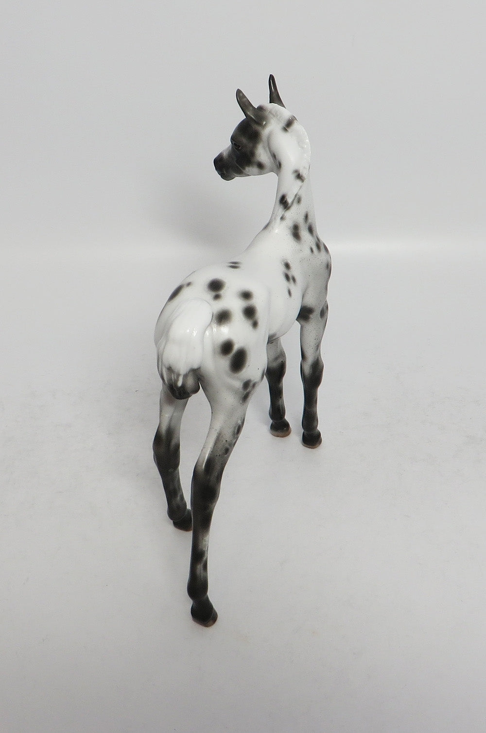 BLUE MONK-OOAK BLACK APPALOOSA FOAL BY SHERYL LEISURE 3/12/18