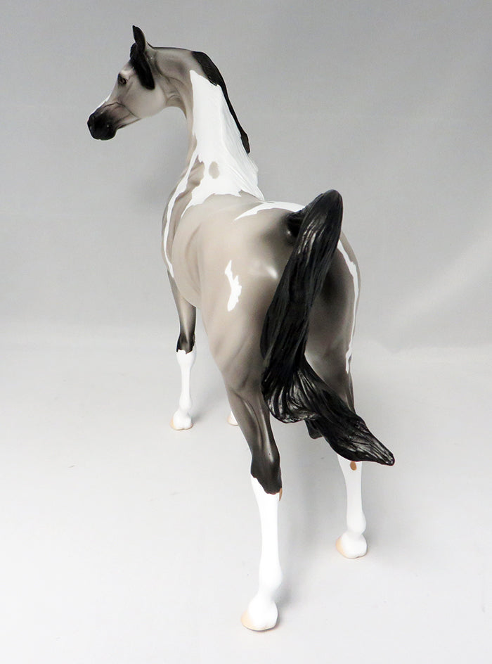 THELOCACTUS-LE-5 GREY AND WHITE PAINT ARABIAN MODEL HORSE 9/22